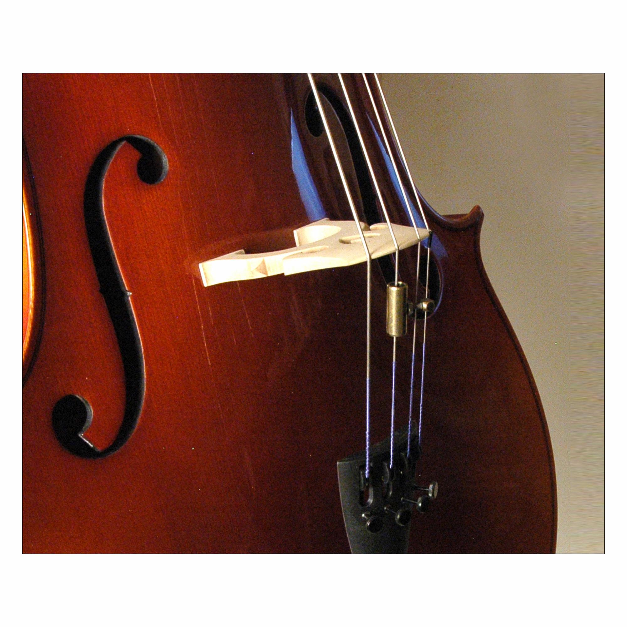 Southwest Strings Wolf Tone Eliminators for Cello | Southwest Strings